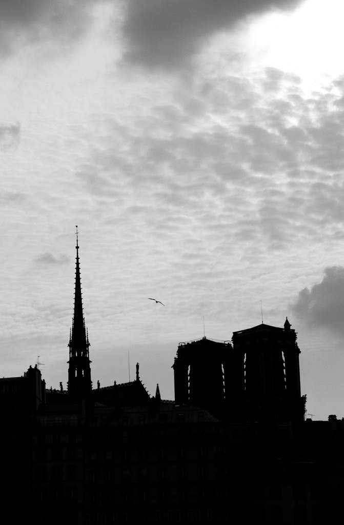 Paris - Notre Dame